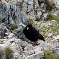 IMG_0161