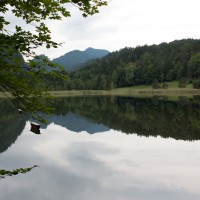 IMG_0041