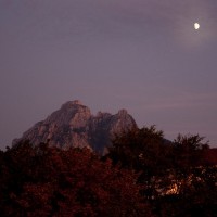IMG_0558