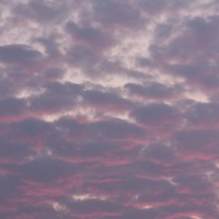 IMG_0641