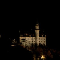 IMG_1030