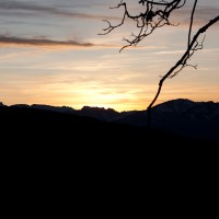 IMG_1193