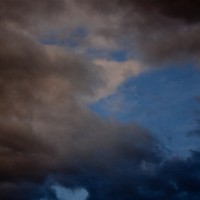 IMG_2100