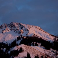 IMG_2640