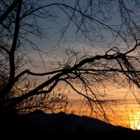 IMG_2788
