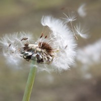 IMG_3046