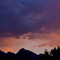 IMG_5428