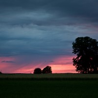 IMG_5750